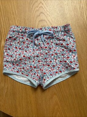 Minnow swim trunks